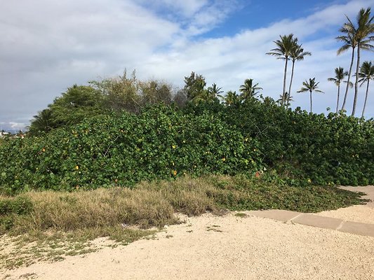 th IMG 1475 th IMG 1475