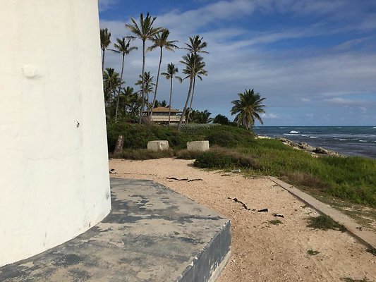 th IMG 1484 th IMG 1484