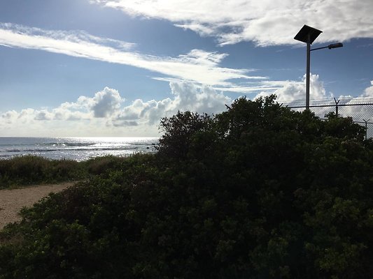 th IMG 1479 th IMG 1479