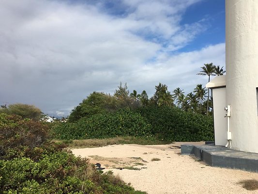 th IMG 1480 th IMG 1480