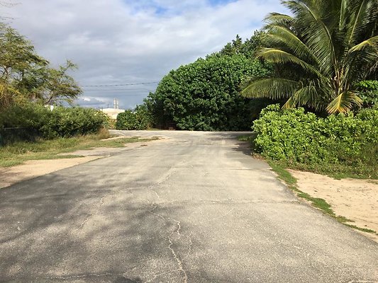 th IMG 1503 th IMG 1503