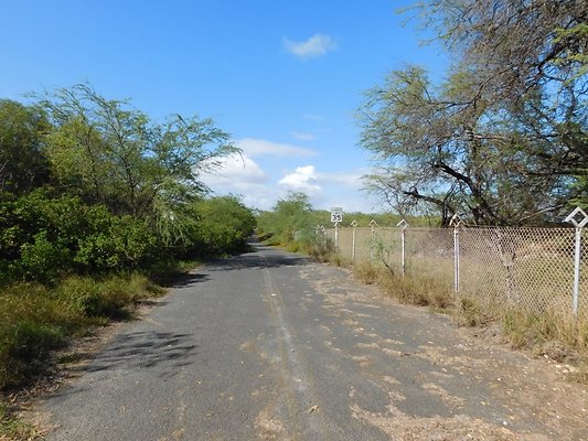 Road by White Plains Road by White Plains