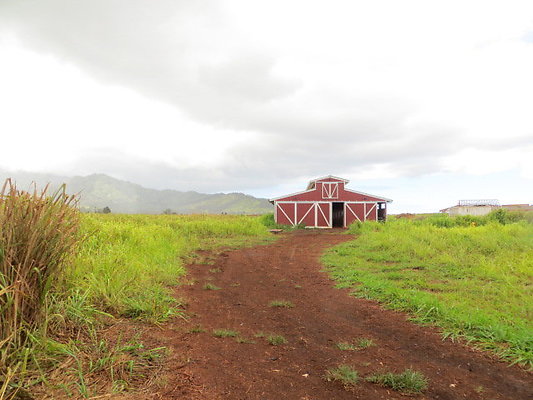 Mark Cummings Goat Farm Mark Cummings Goat Farm