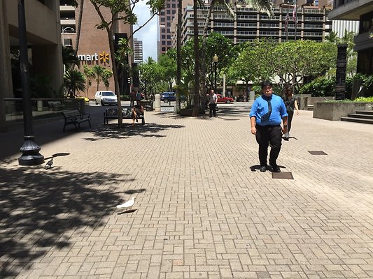 HI50 S6 Downtown Fort Street Mall 2.58 HI50 S6 Downtown Fort Street Mall 2.58