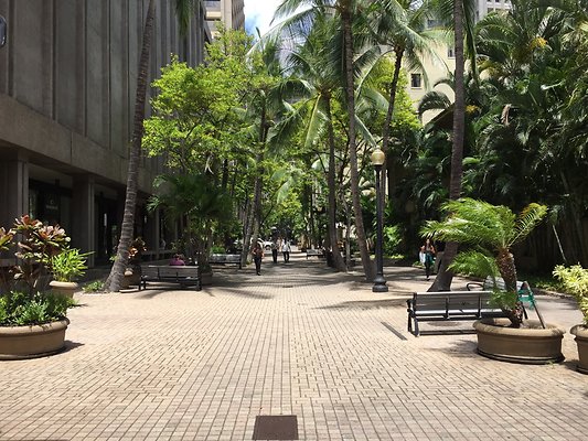 Downtown Fort Street Mall