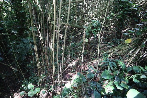 th IMG 6095 th IMG 6095