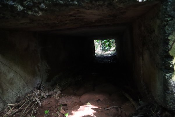 th IMG 6121 th IMG 6121