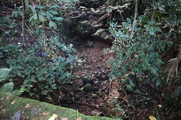 th IMG 6113 th IMG 6113