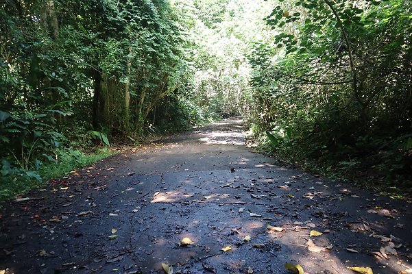 th IMG 6123 th IMG 6123