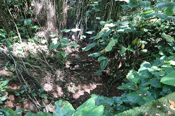 th IMG 6092 th IMG 6092