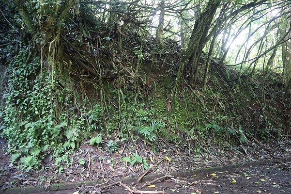 th IMG 6107 th IMG 6107