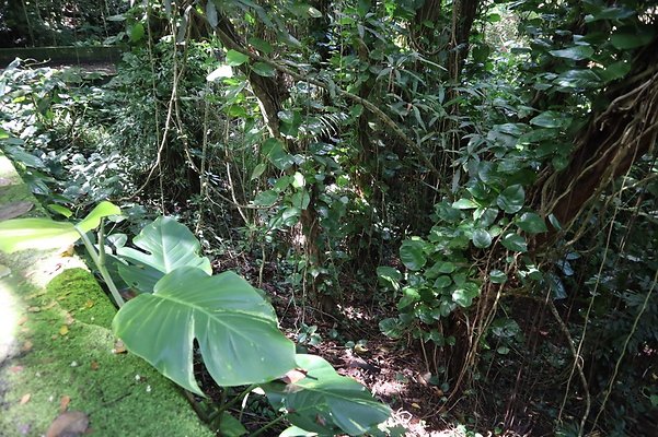 th IMG 6094 th IMG 6094