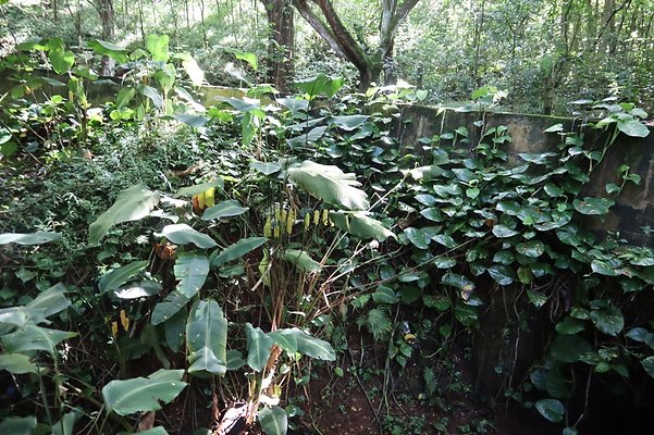 th IMG 6127 th IMG 6127