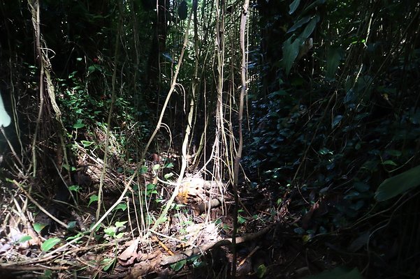 th IMG 6128 th IMG 6128