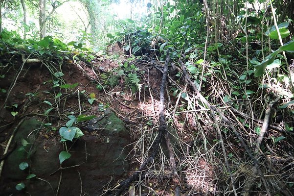 th IMG 6132 th IMG 6132