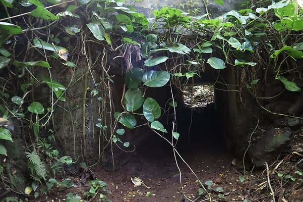 th IMG 6130 th IMG 6130