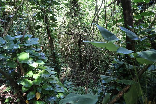 th IMG 6106 th IMG 6106