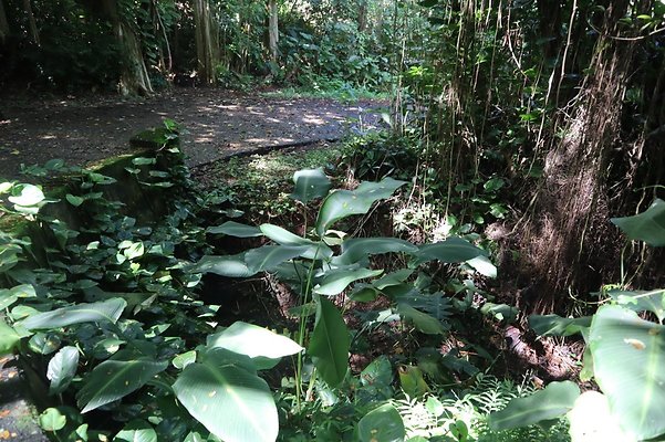 th IMG 6093 th IMG 6093