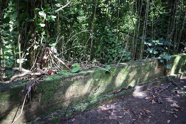 th IMG 6109 th IMG 6109