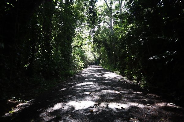 th IMG 6090 th IMG 6090