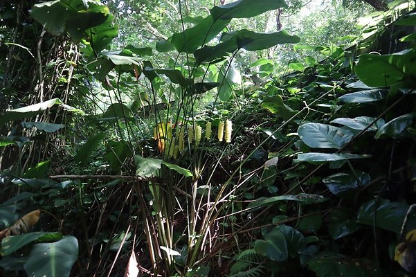 th IMG 6135 th IMG 6135