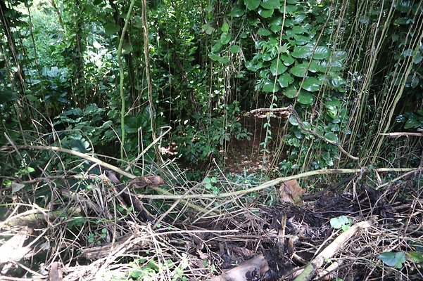 th IMG 6108 th IMG 6108