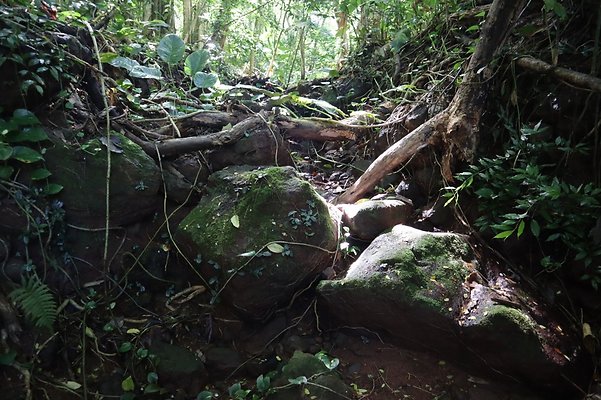 th IMG 6115 th IMG 6115