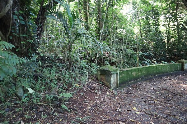 th IMG 6111 th IMG 6111