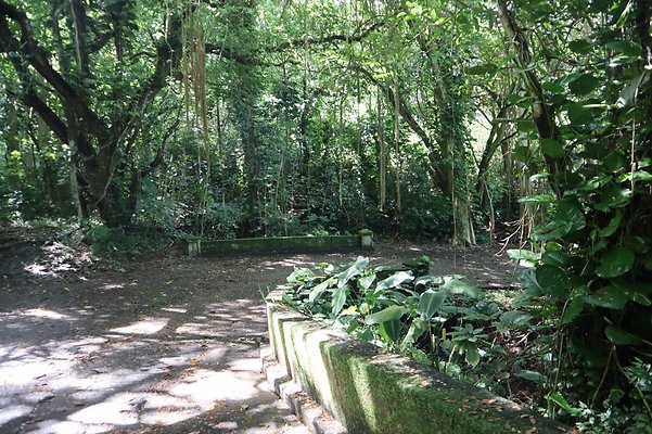 th IMG 6110 th IMG 6110