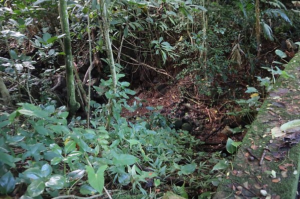 th IMG 6112 th IMG 6112