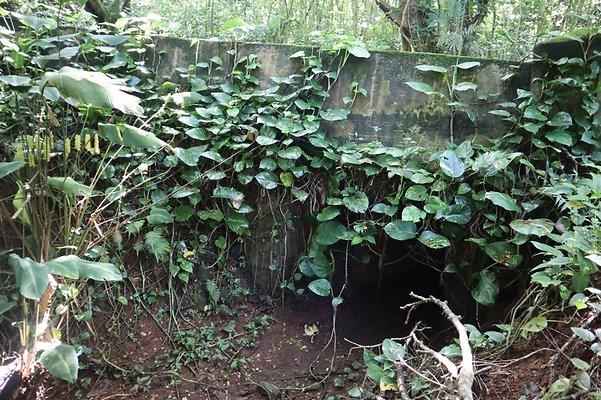 th IMG 6125 th IMG 6125