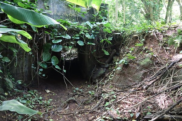 th IMG 6129 th IMG 6129