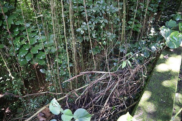 th IMG 6097 th IMG 6097