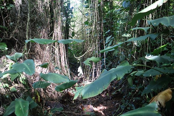 th IMG 6134 th IMG 6134