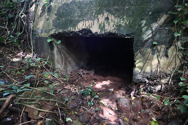 th IMG 6119 th IMG 6119