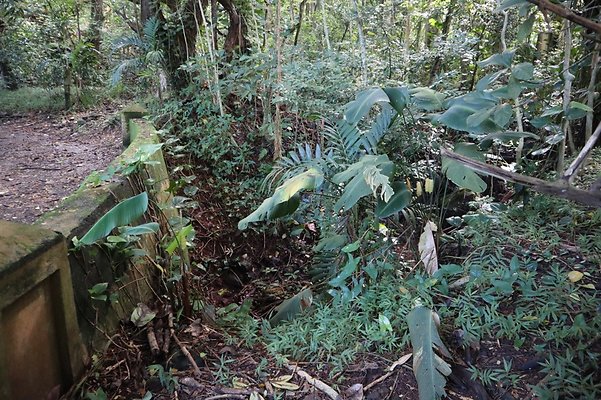 th IMG 6114 th IMG 6114