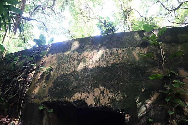 th IMG 6120 th IMG 6120