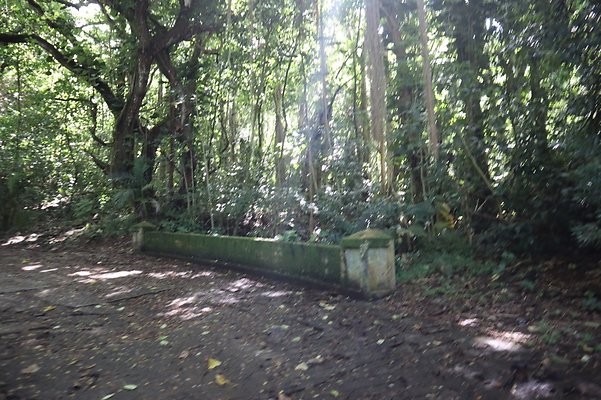 th IMG 6122 th IMG 6122