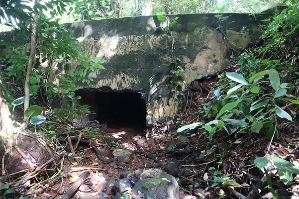 th IMG 6116 th IMG 6116