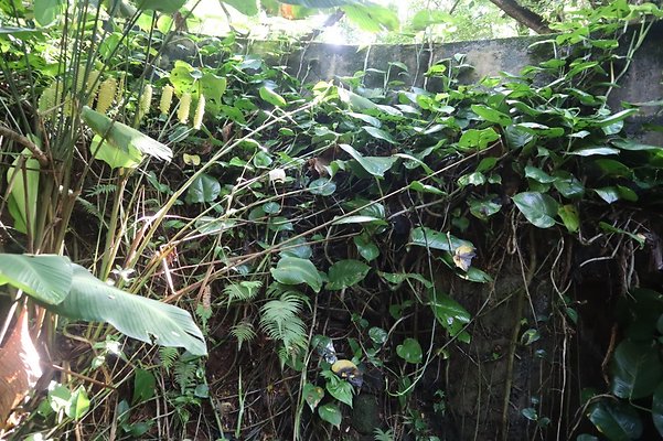 th IMG 6131 th IMG 6131