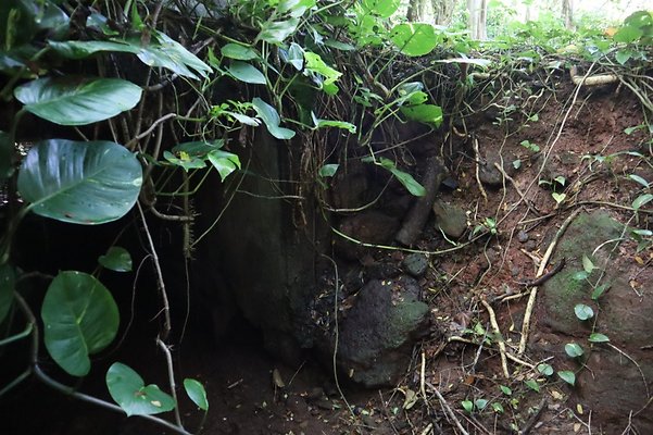 th IMG 6133 th IMG 6133