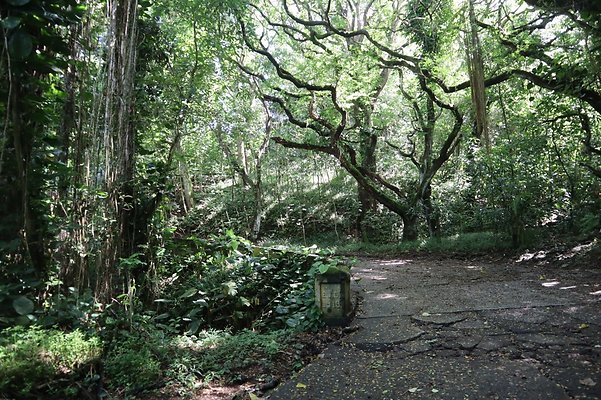 th IMG 6124 th IMG 6124