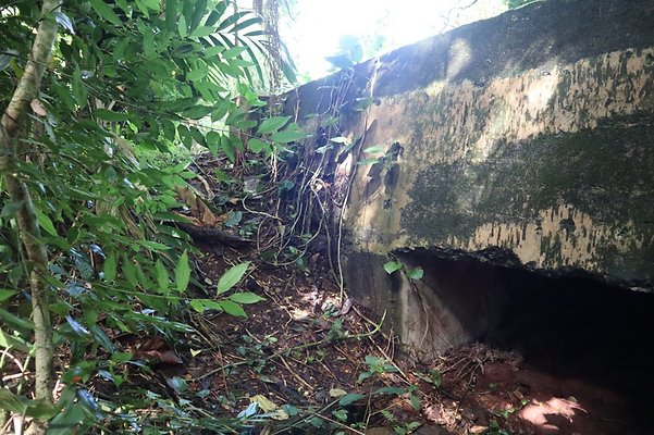 th IMG 6117 th IMG 6117