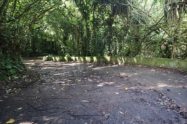 th IMG 6096 th IMG 6096