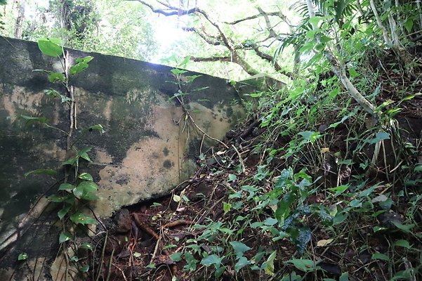 th IMG 6118 th IMG 6118