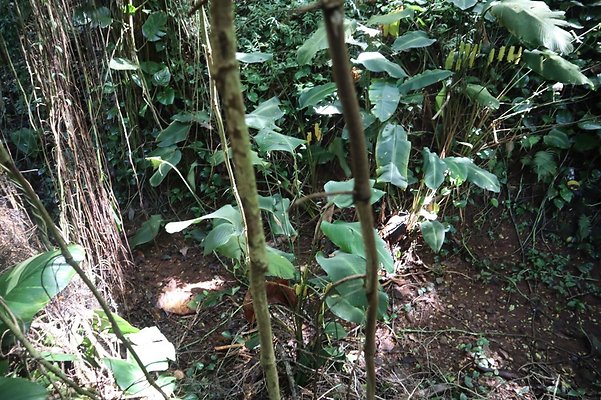 th IMG 6126 th IMG 6126