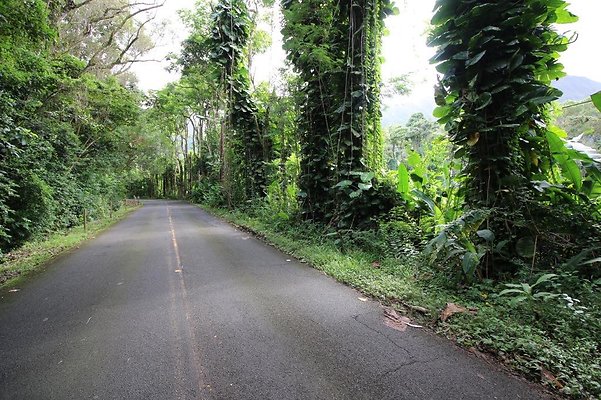 Koolau Golf Course Koolau Golf Course