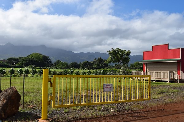 Twin Bridge Haleiwa 66-320 Kamehameha Hwy Milton J. Agader 808.864.6477 Twin Bridge Haleiwa 66-320 Kamehameha Hwy Milton J. Agader 808.864.6477