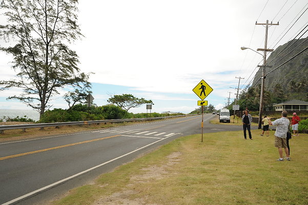 Road Side 41686 Kalanianole Hwy Road Side 41686 Kalanianole Hwy