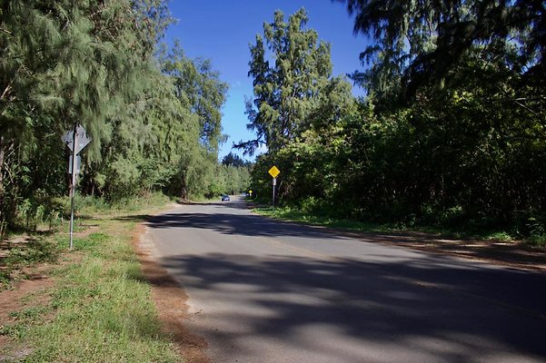 Sherwood Forest Sherwood Forest